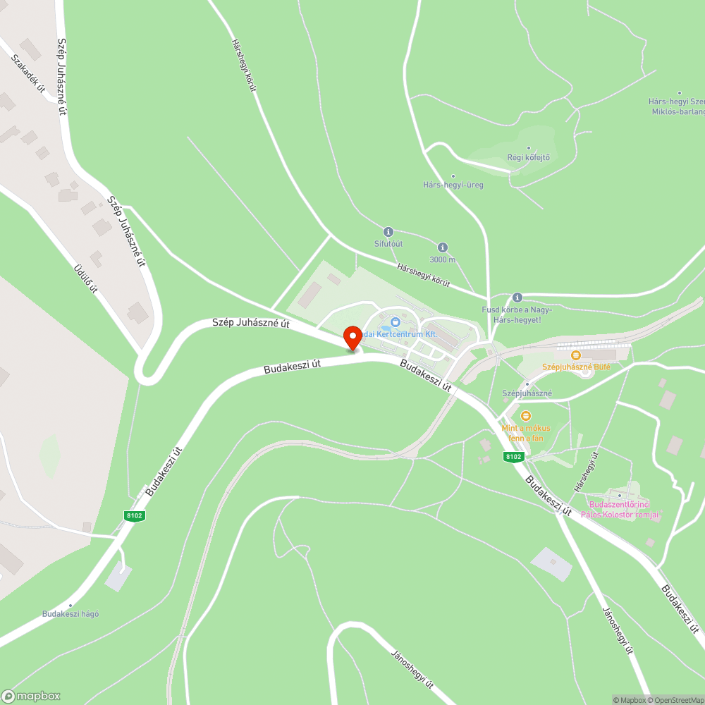 Közüti felfestés lekopott/hiányzik, potenciális balesetveszély bejelentés helye