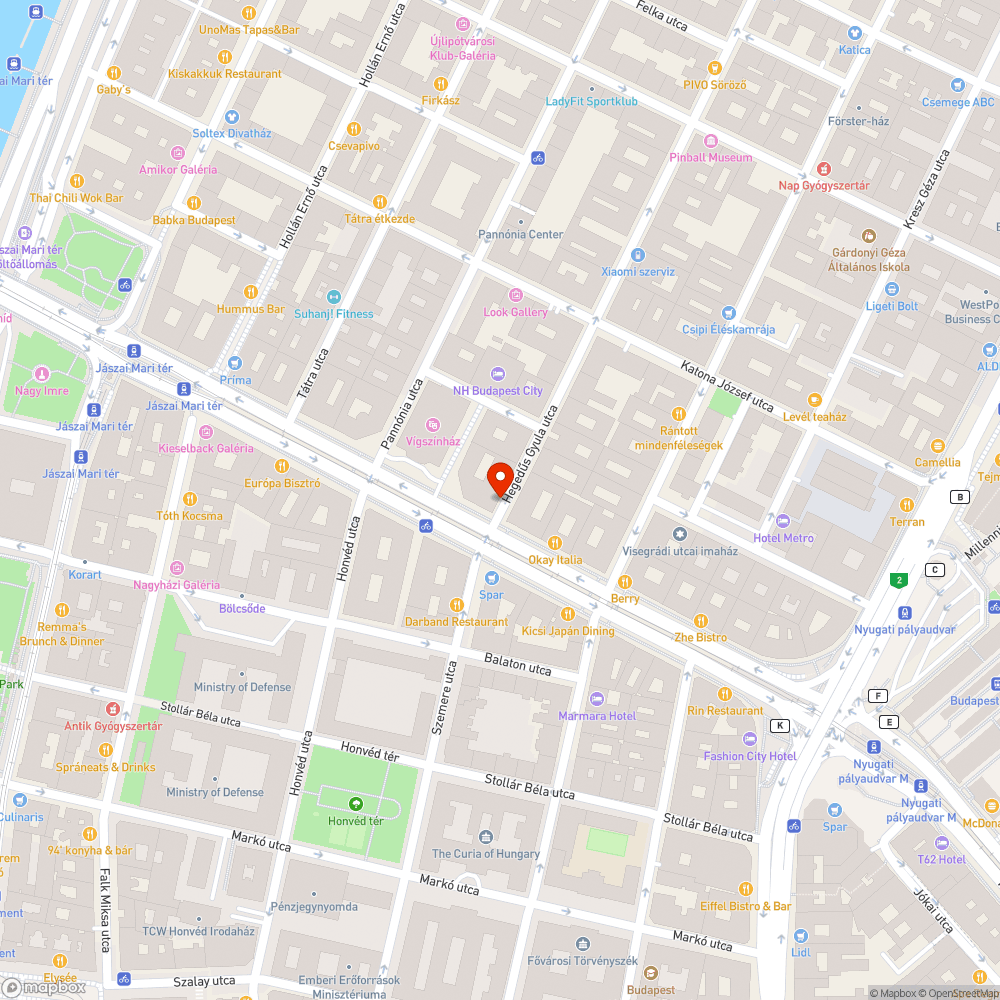 Hegedűs Gyula utcai kerékpársáv festése lekopott bejelentés helye