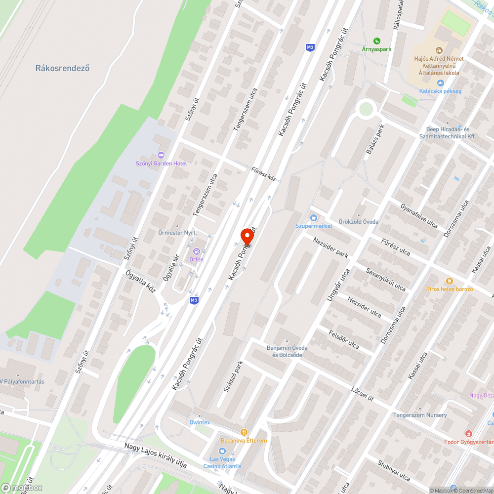 Elhullott kisállat a parkoló területén bejelentés helye