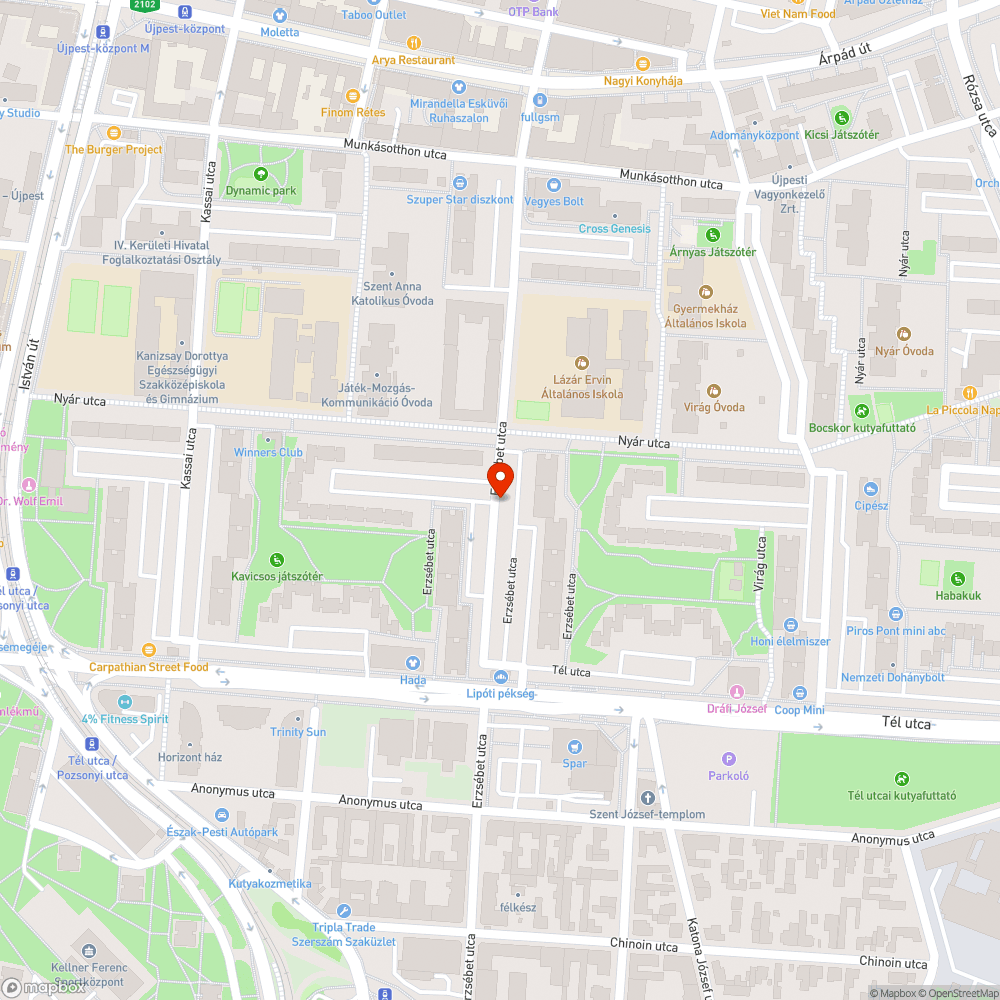 Levél, aszfalt, homok, por, csikk az Erzsébet utcában bejelentés helye