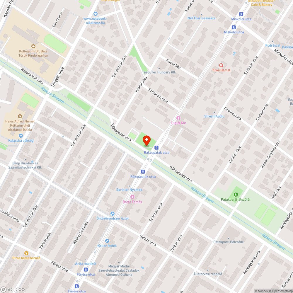 Hatalmas kupac elszáradt zöld hulladék , kidobott karácsonyfa stb bejelentés helye