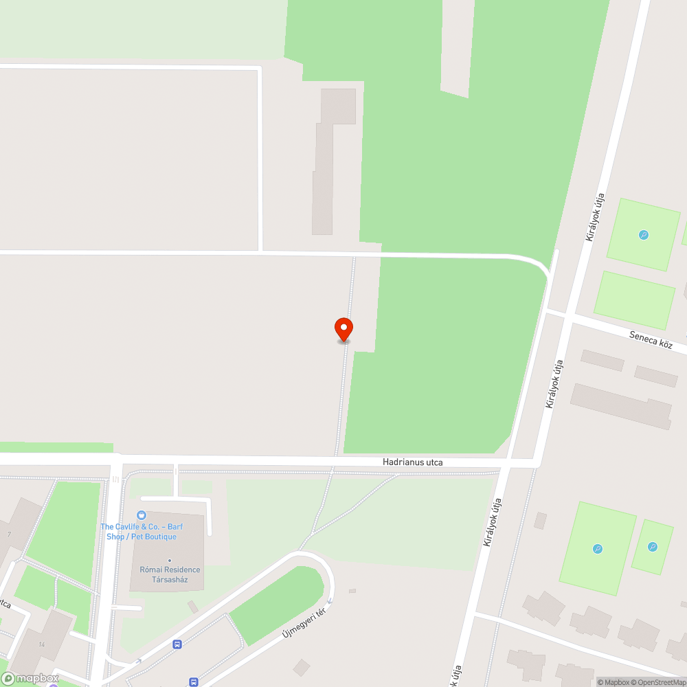 Leszakadt faág bejelentés helye