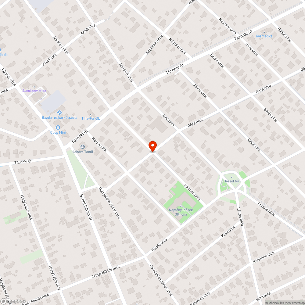 Szemetes és egyben tűzveszélyes ház bejelentés helye