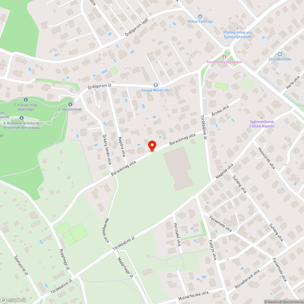 Elhagyott bőrönd a fák között Újbudán bejelentés helye