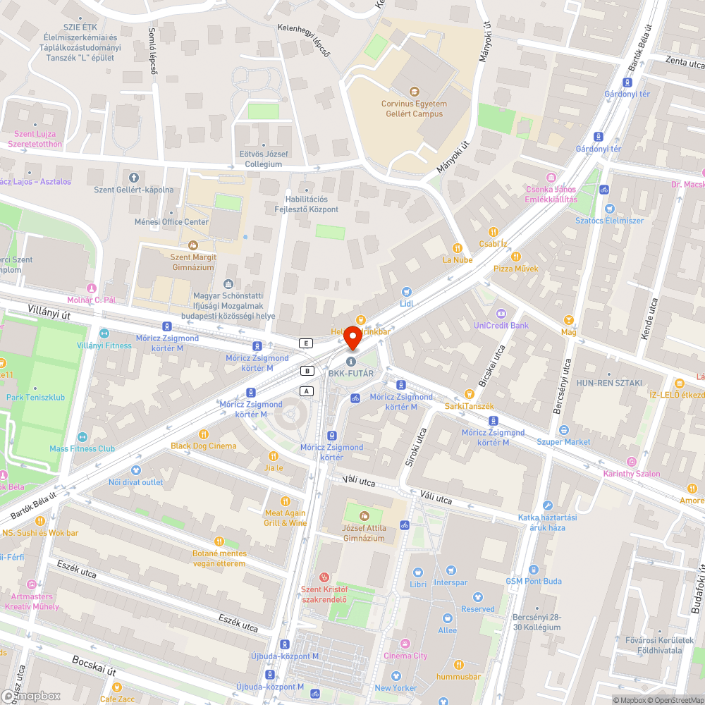 Homofób feliratok a Móricz Zsigmond körtéren lévő aluljáróban bejelentés helye