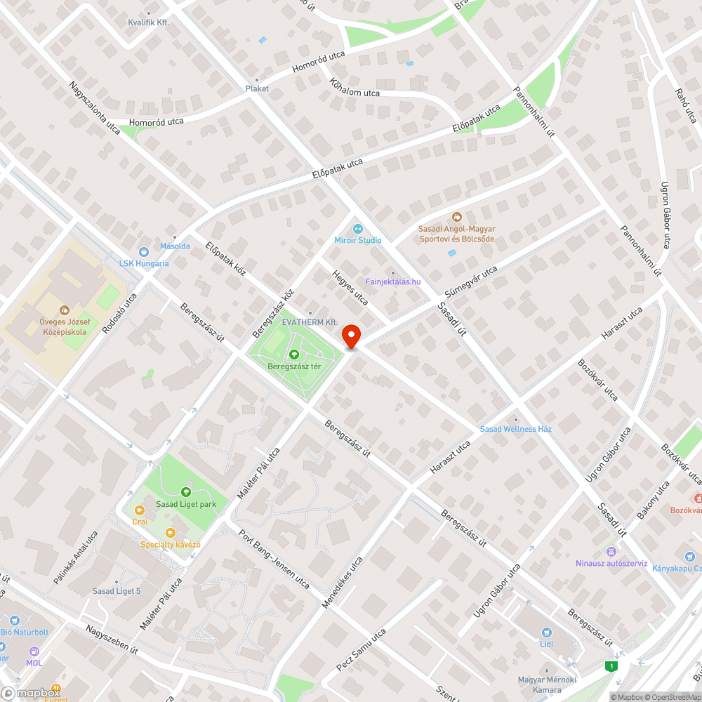 Beregszász tér úttest szennyezett bejelentés helye