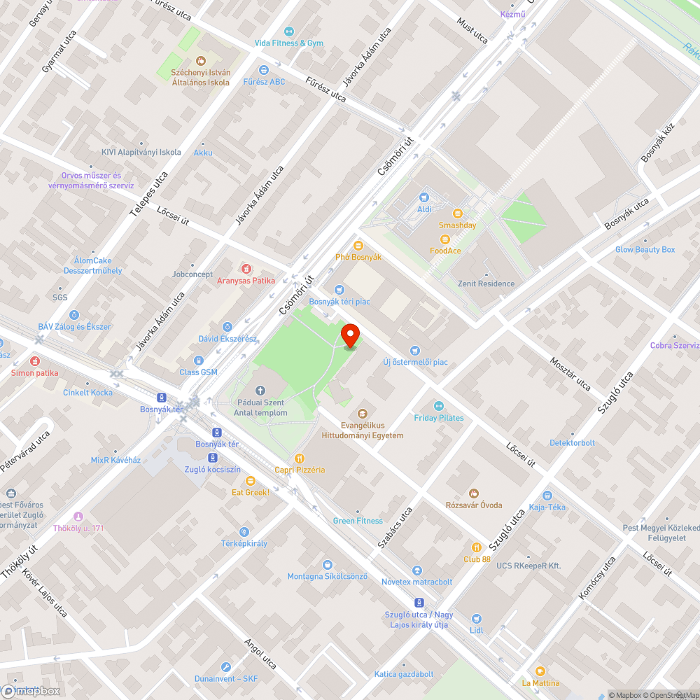 Letört faág Bosnyák téren bejelentés helye