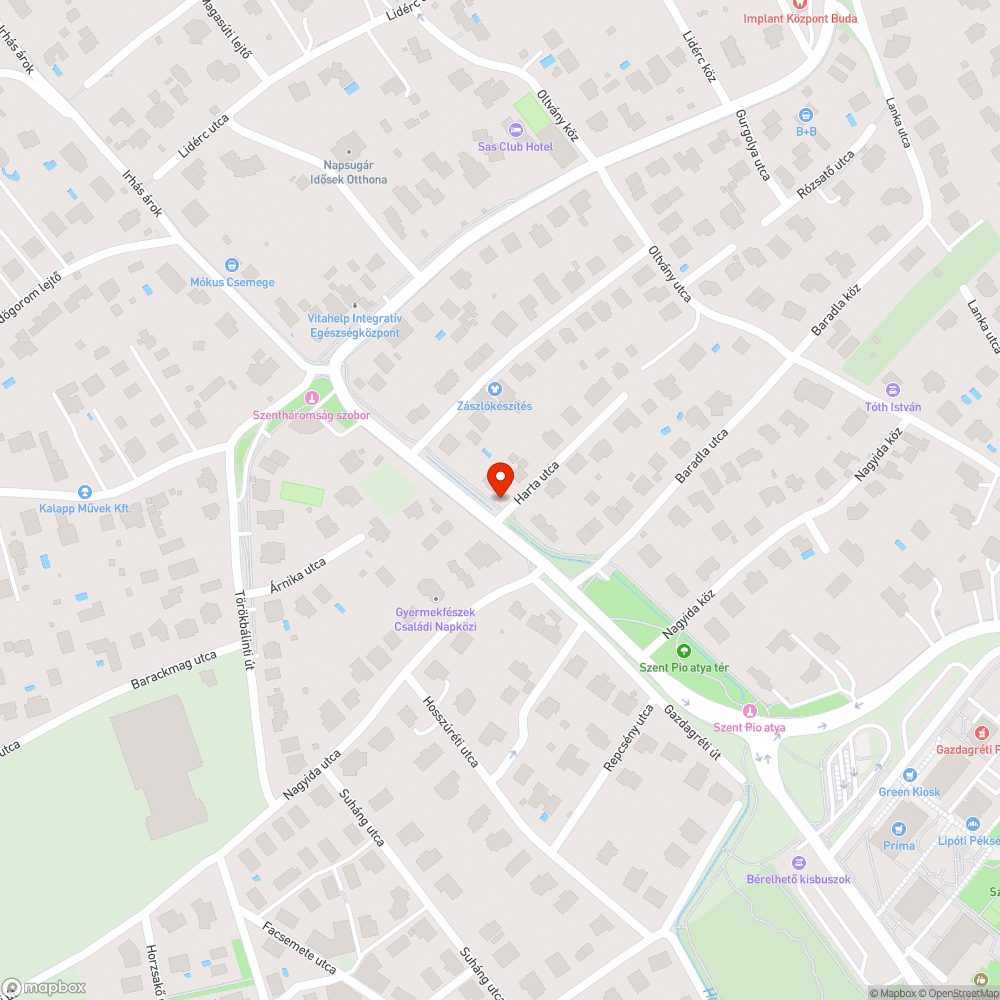 Burjánzó gaz kaszálásra várva Újbudán bejelentés helye