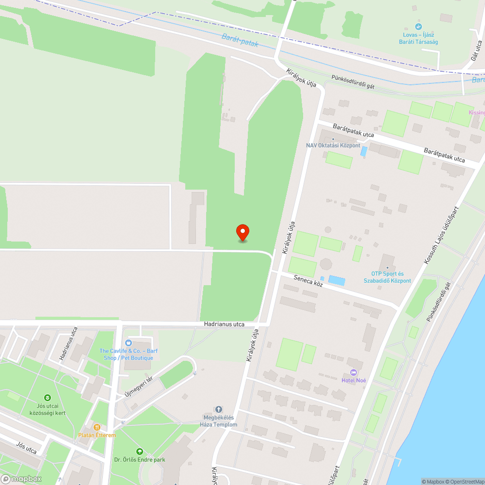 Rossz állapotú kidőlt fák bejelentés helye