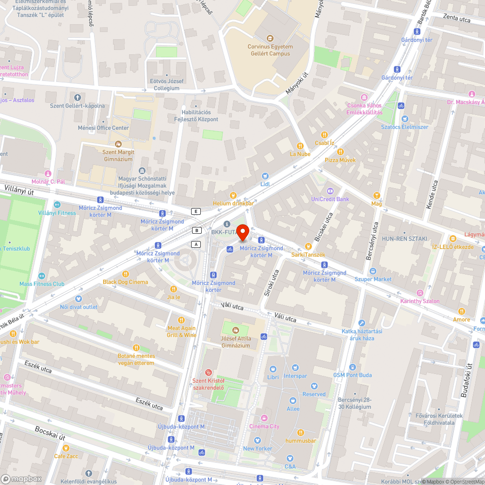 Koszos aluljáró bejelentés helye