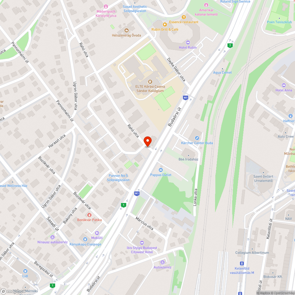 Járdára benőtt bokor és leszakadt ág bejelentés helye