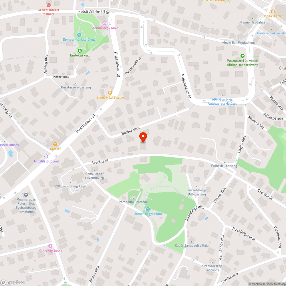 Közterületen lévő díszfa megcsonkítása bejelentés helye