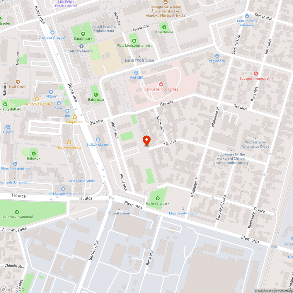 Kiszáradt nyírfa bejelentés helye