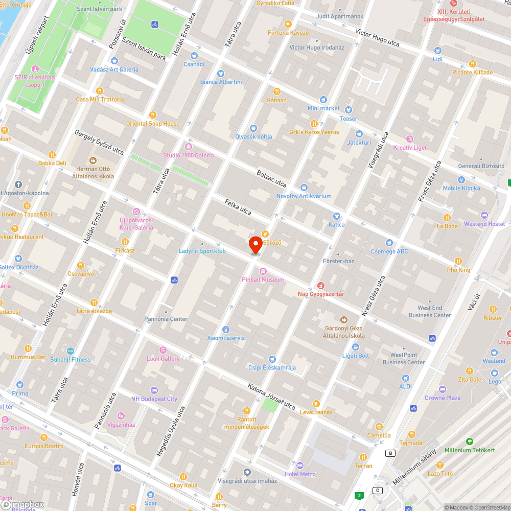 Lekopott a Hegedűs Gyula utcai kerékpársáv bejelentés helye