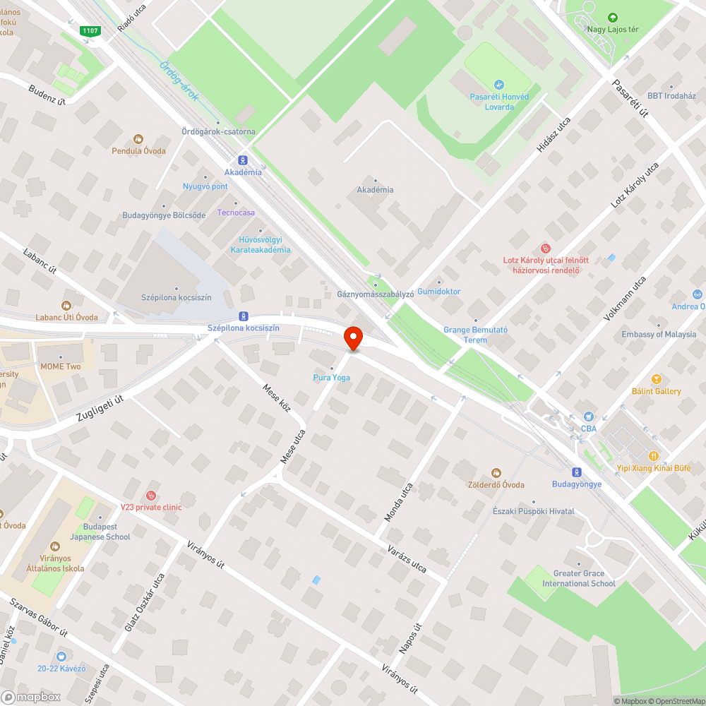 Több hónapja magára hagyott zöldhulladék bejelentés helye