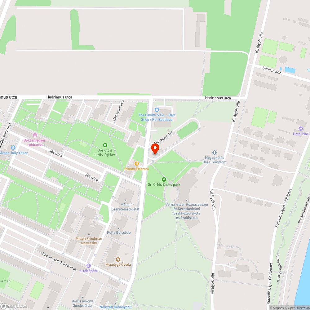 Leszakadt faág bejelentés helye