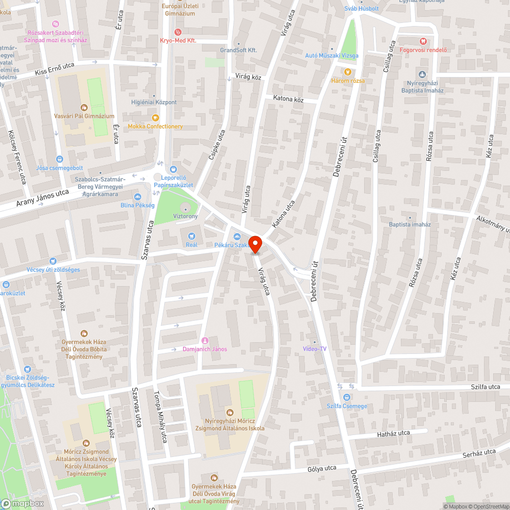 Konténerből kihulló szemét bejelentés helye