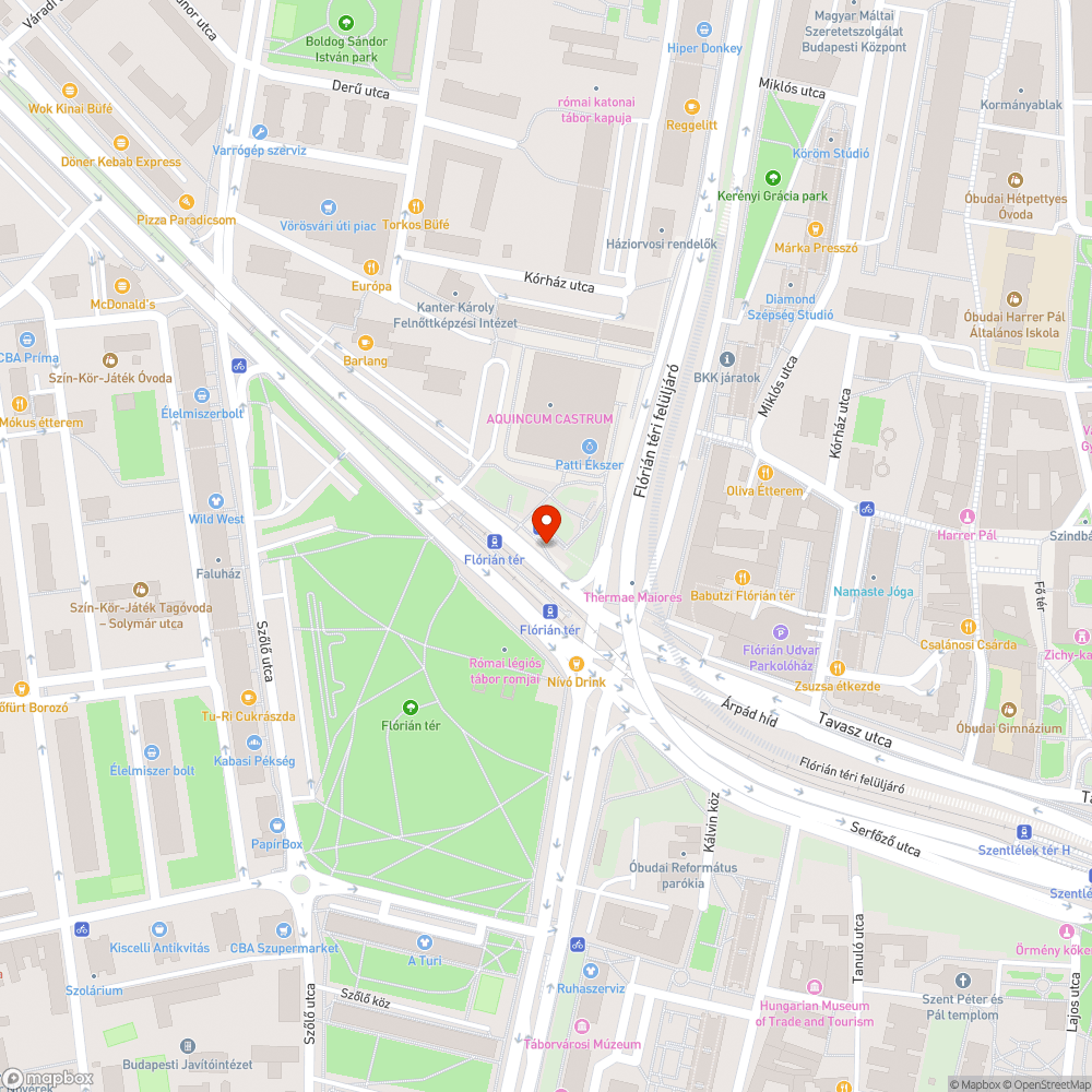 Veszélyes kókányság a Flórian téri kerékpárúton bejelentés helye