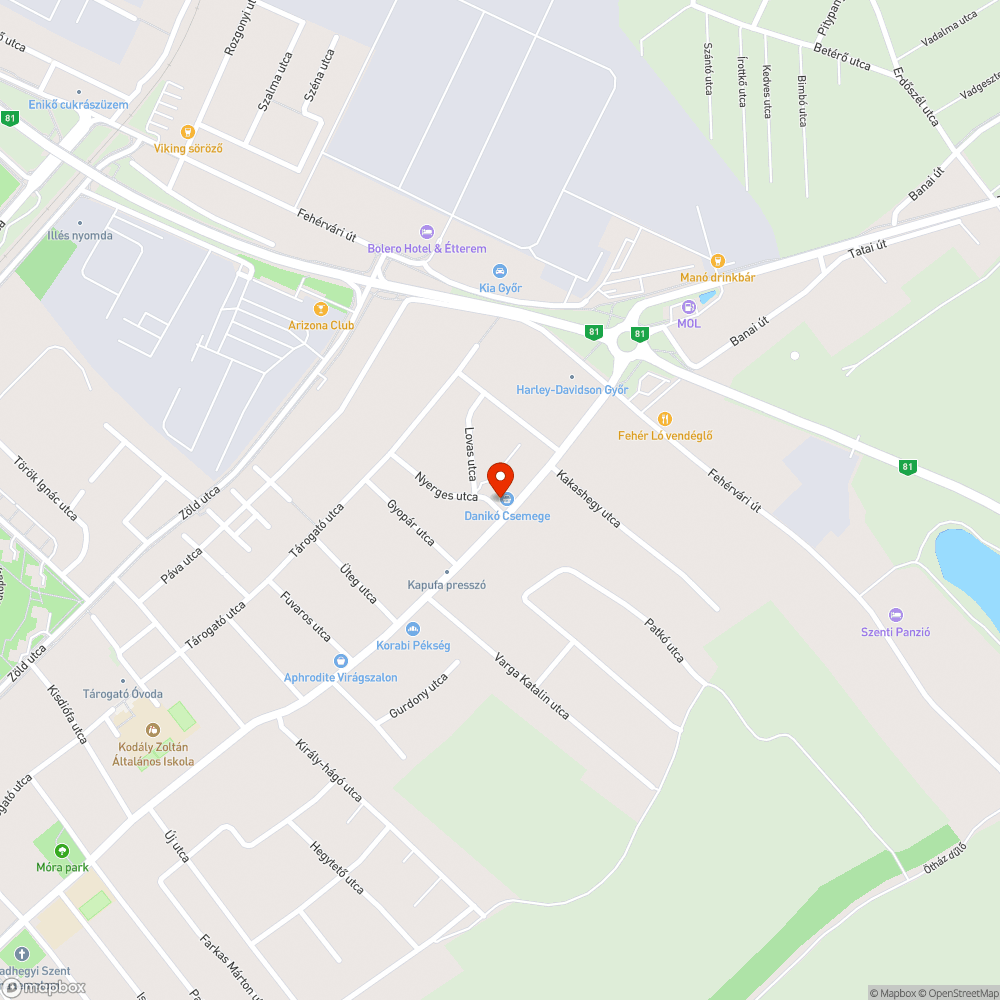 Kátyú a járdán bejelentés helye