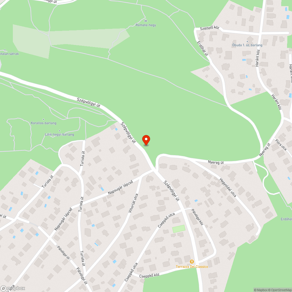 Roncs bejelentés helye