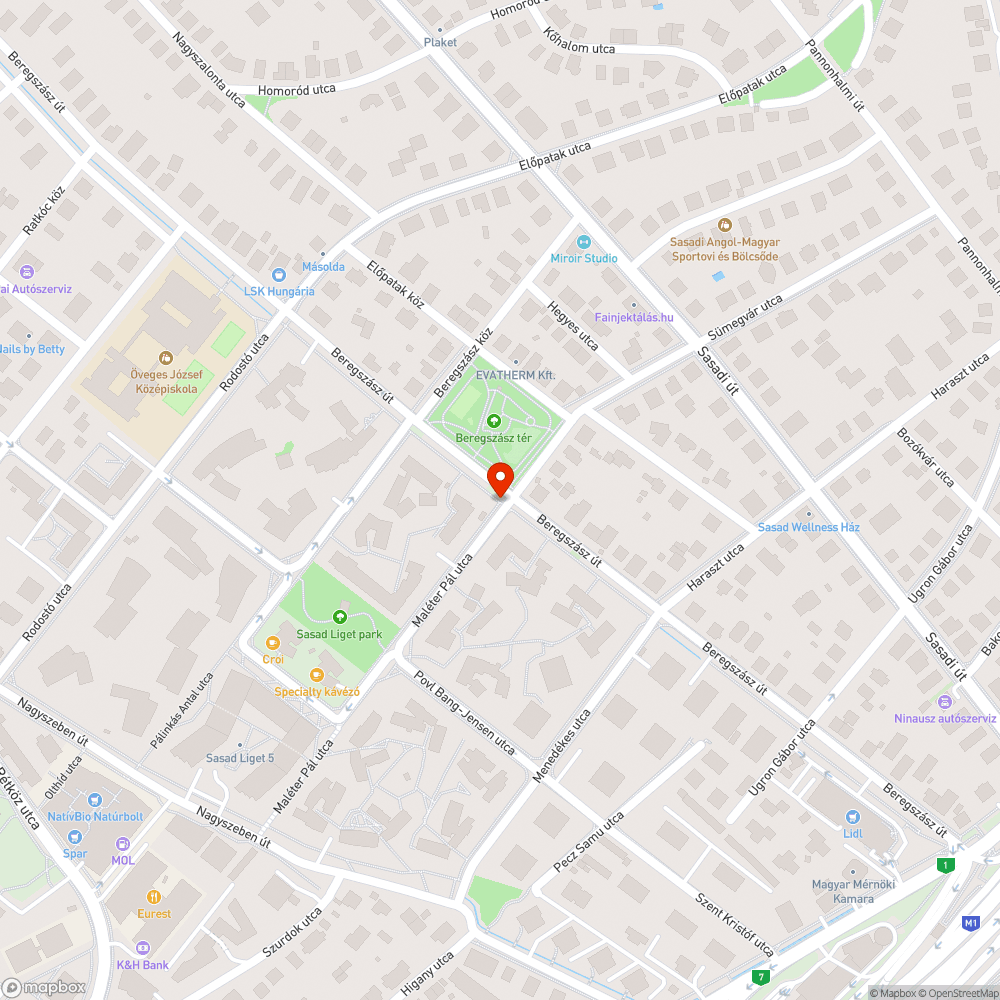 Maléter Pál - Beregszász járda akadálymentesítés bejelentés helye