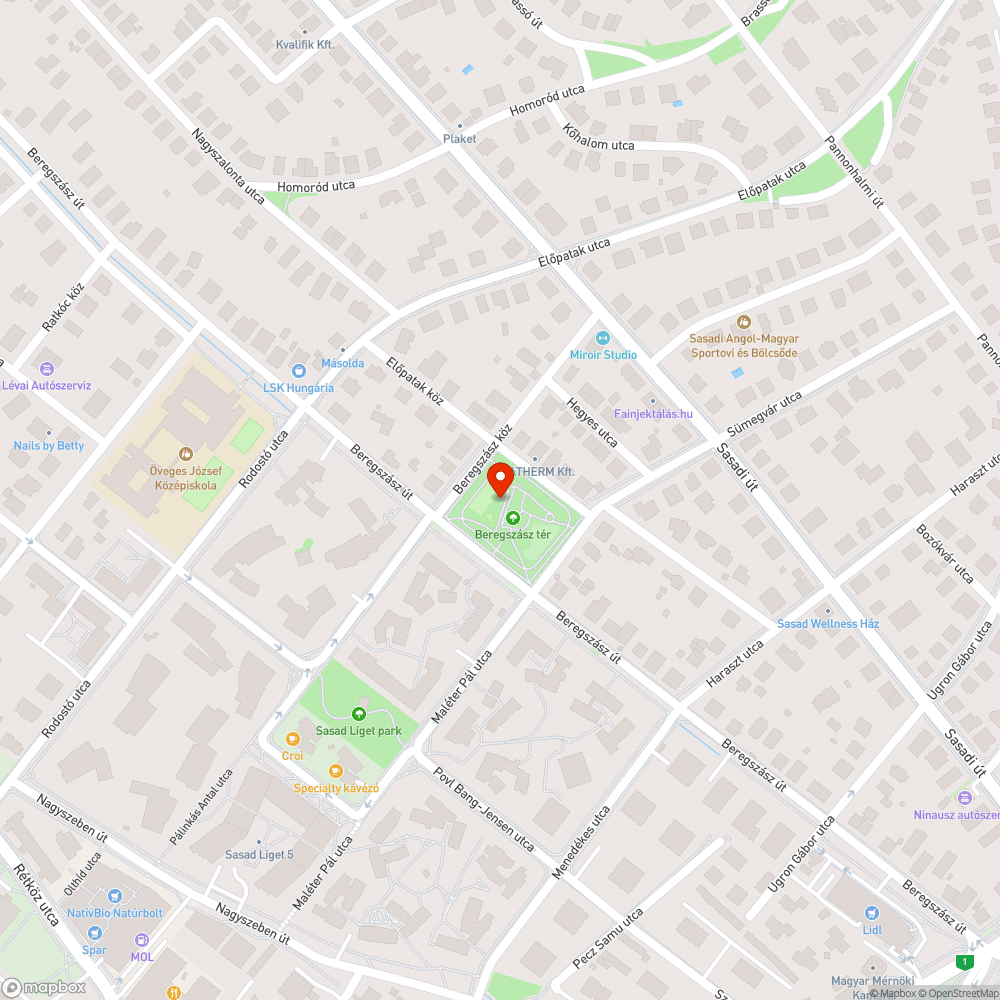 Futópályára és járdára lógó ágak bejelentés helye