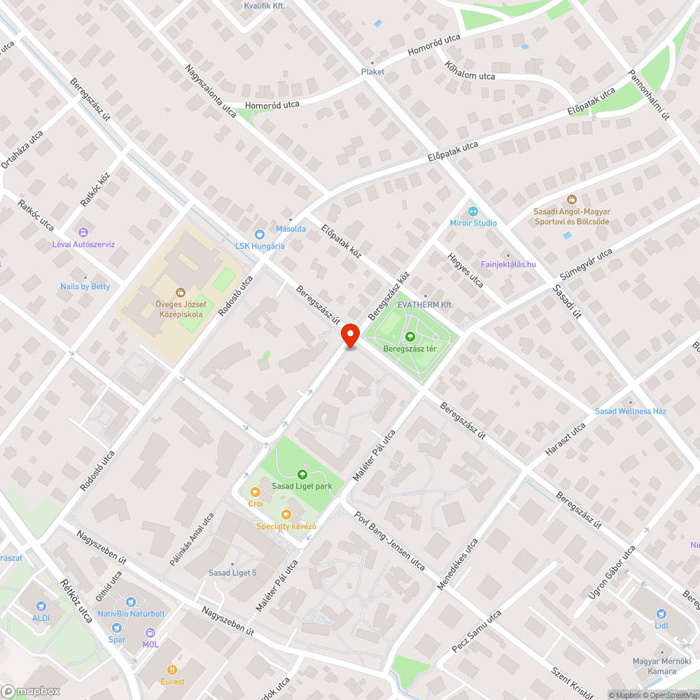 Elhanyagolt zöldfelület a Pálinkás Antal utcában bejelentés helye