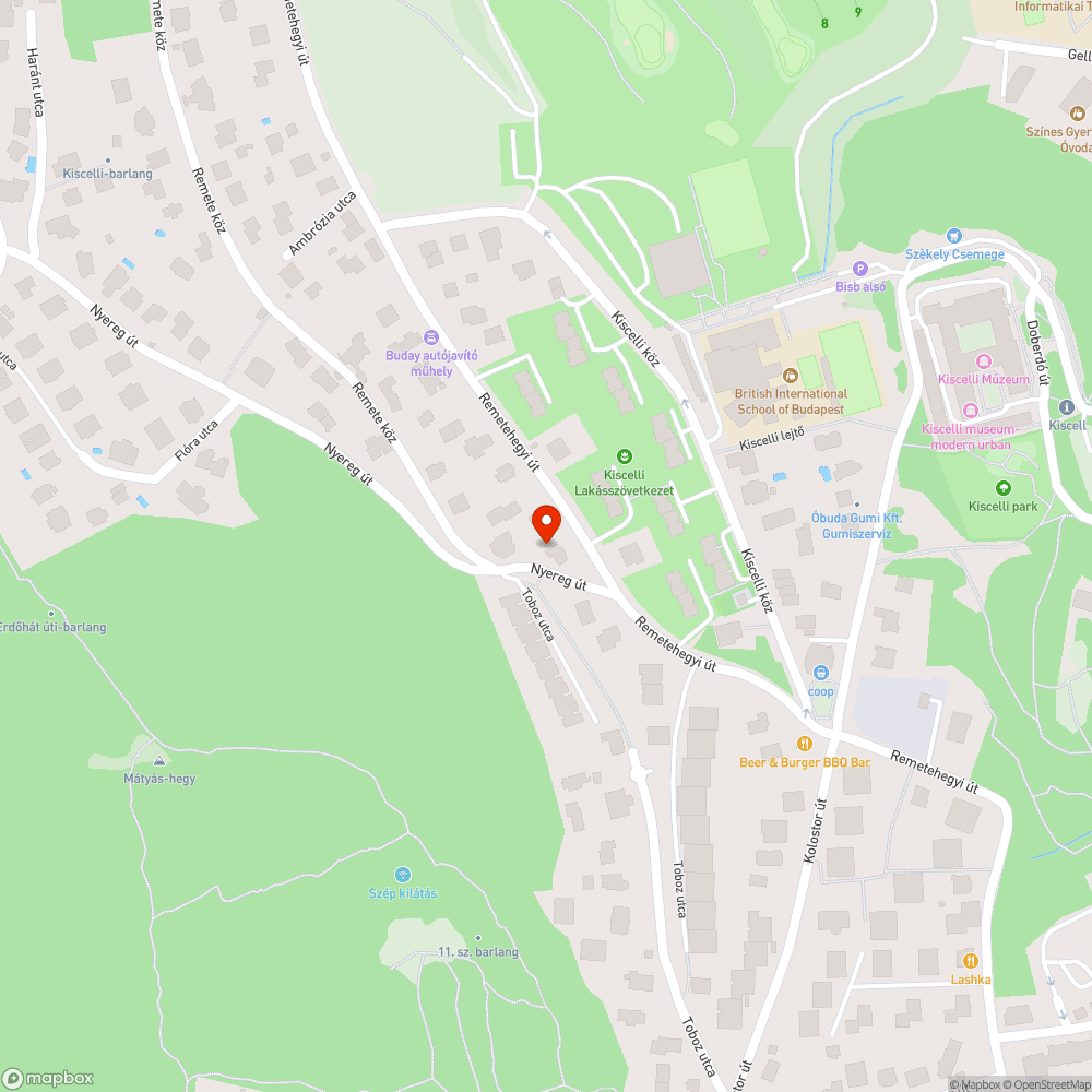 Elhanyagolt növényzet bejelentés helye