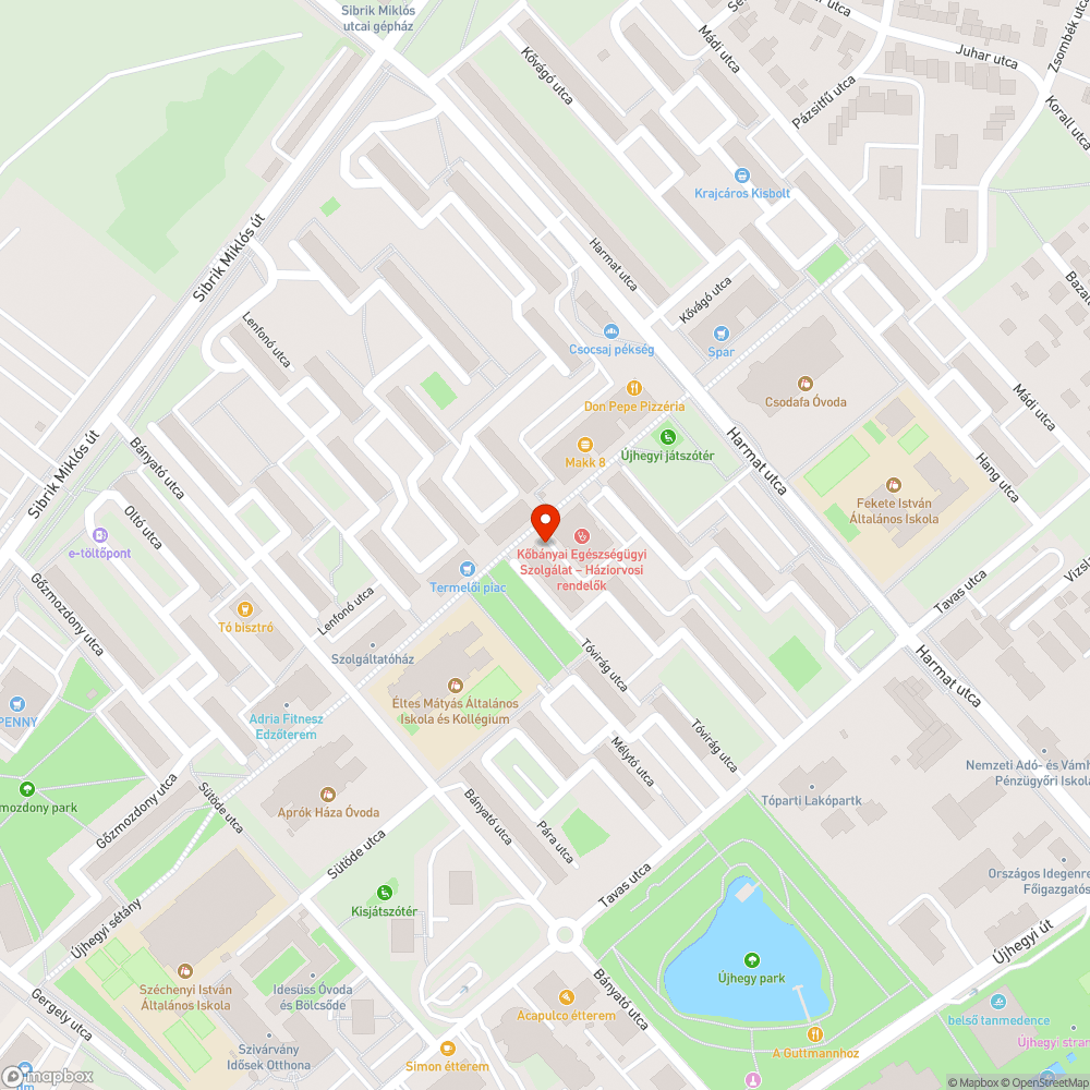 Kritikán aluli állapotú járdaburkolat bejelentés helye