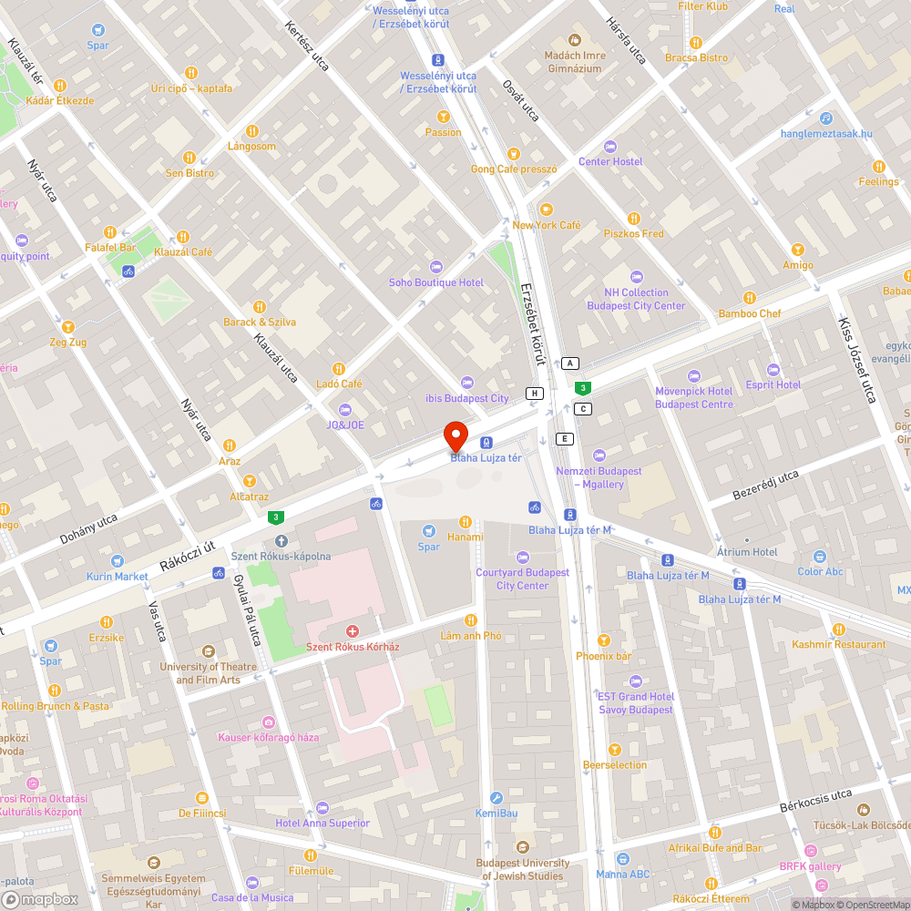 Blaha Lujza téri tó bejelentés helye