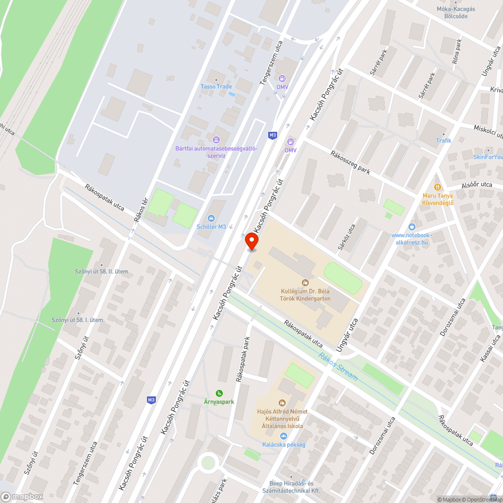 Kiszáradt fa bejelentés helye