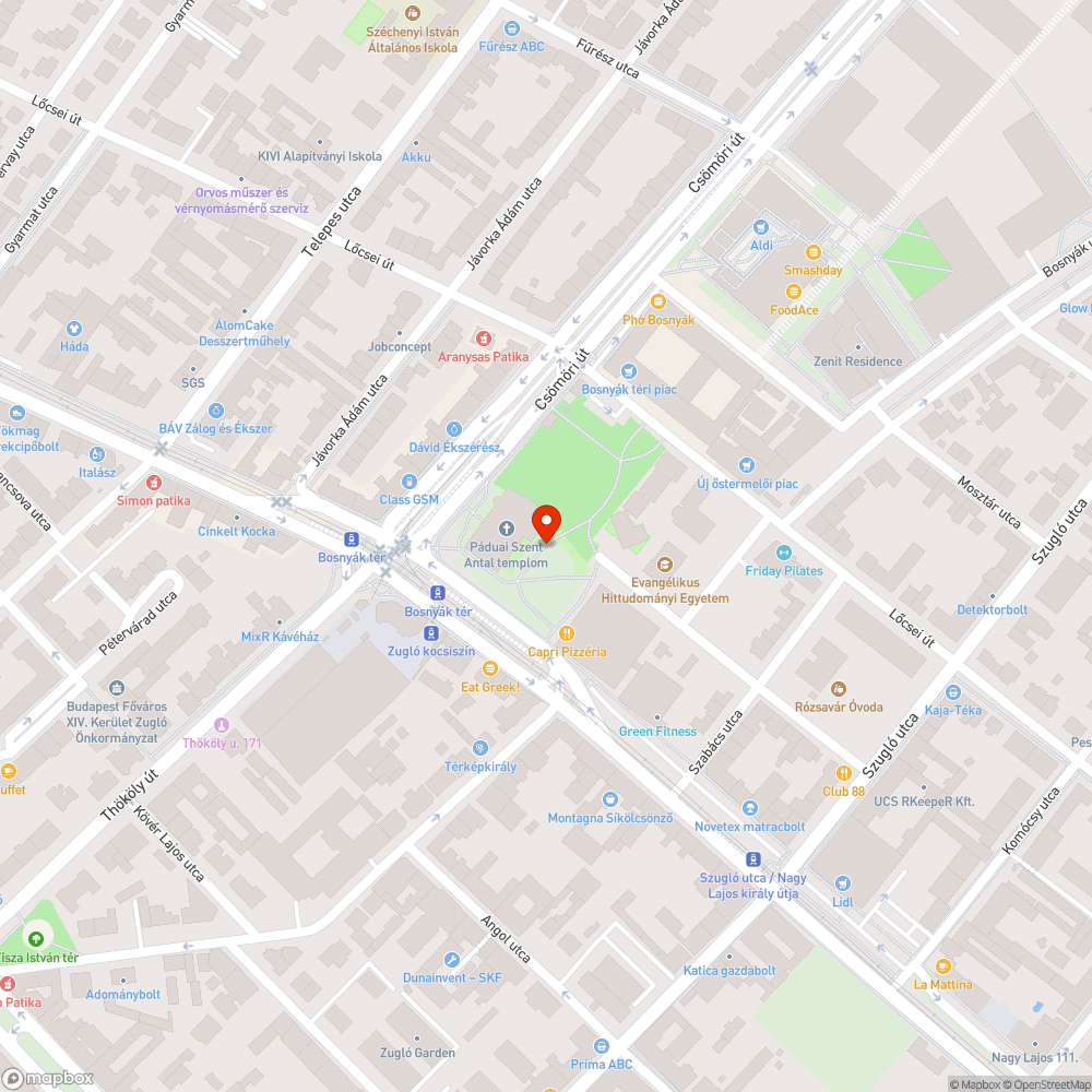 Letört nagy faágak a Bosnyák téren bejelentés helye