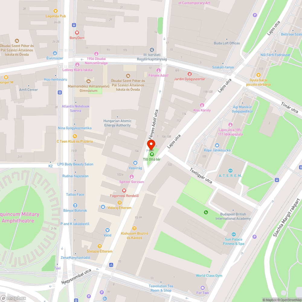 Otthagyott fahulladék a téren bejelentés helye