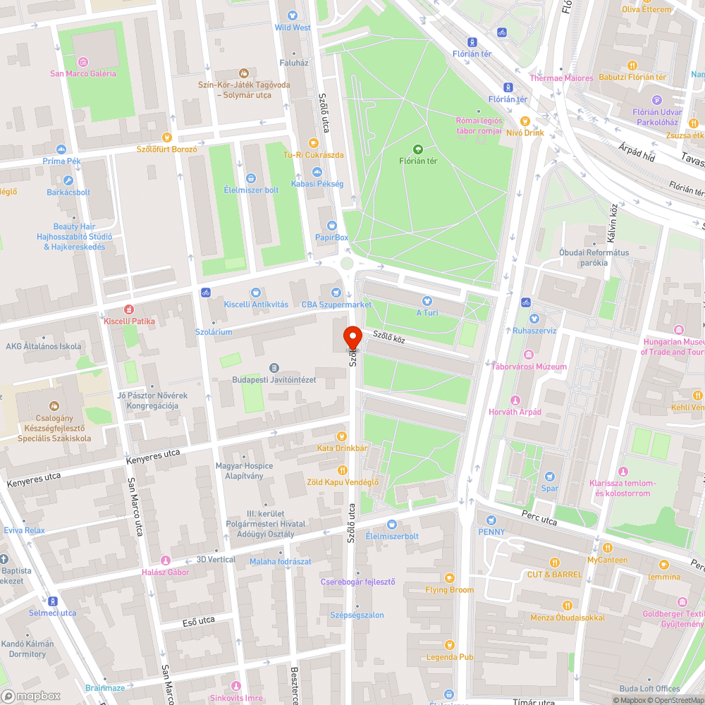 Járdára rálógó faágak a Szőlő utcában bejelentés helye