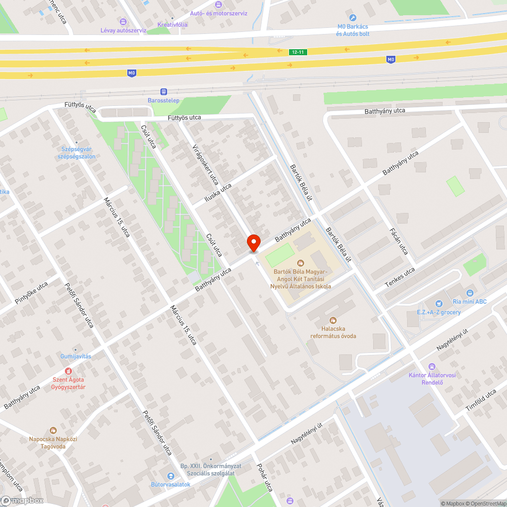 Lekopott zebra bejelentés helye