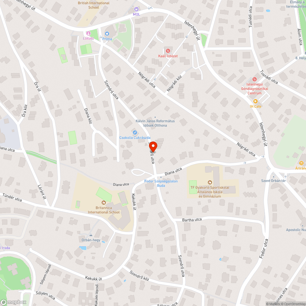 Elhagyott autó bejelentés helye