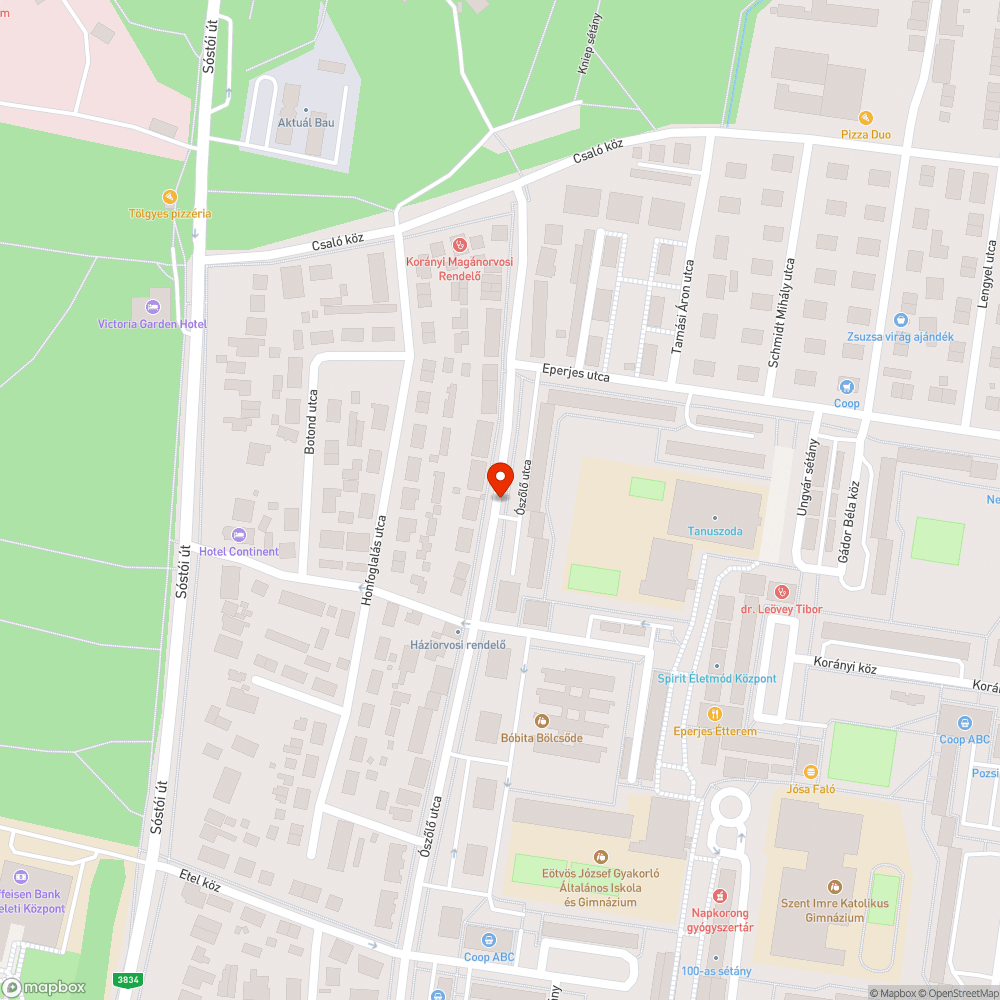 Ottfelejtett korlátozó tábla bejelentés helye