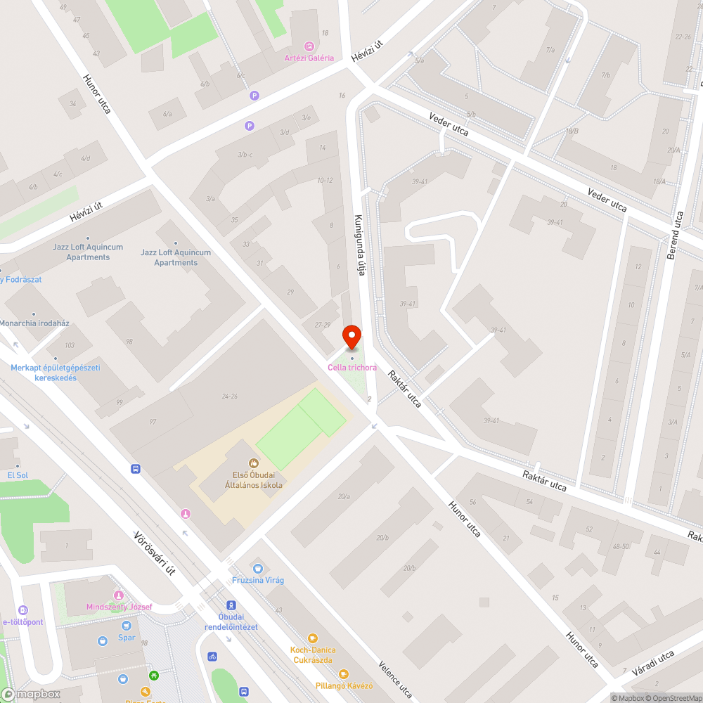 A természet visszahódítja a romokat bejelentés helye