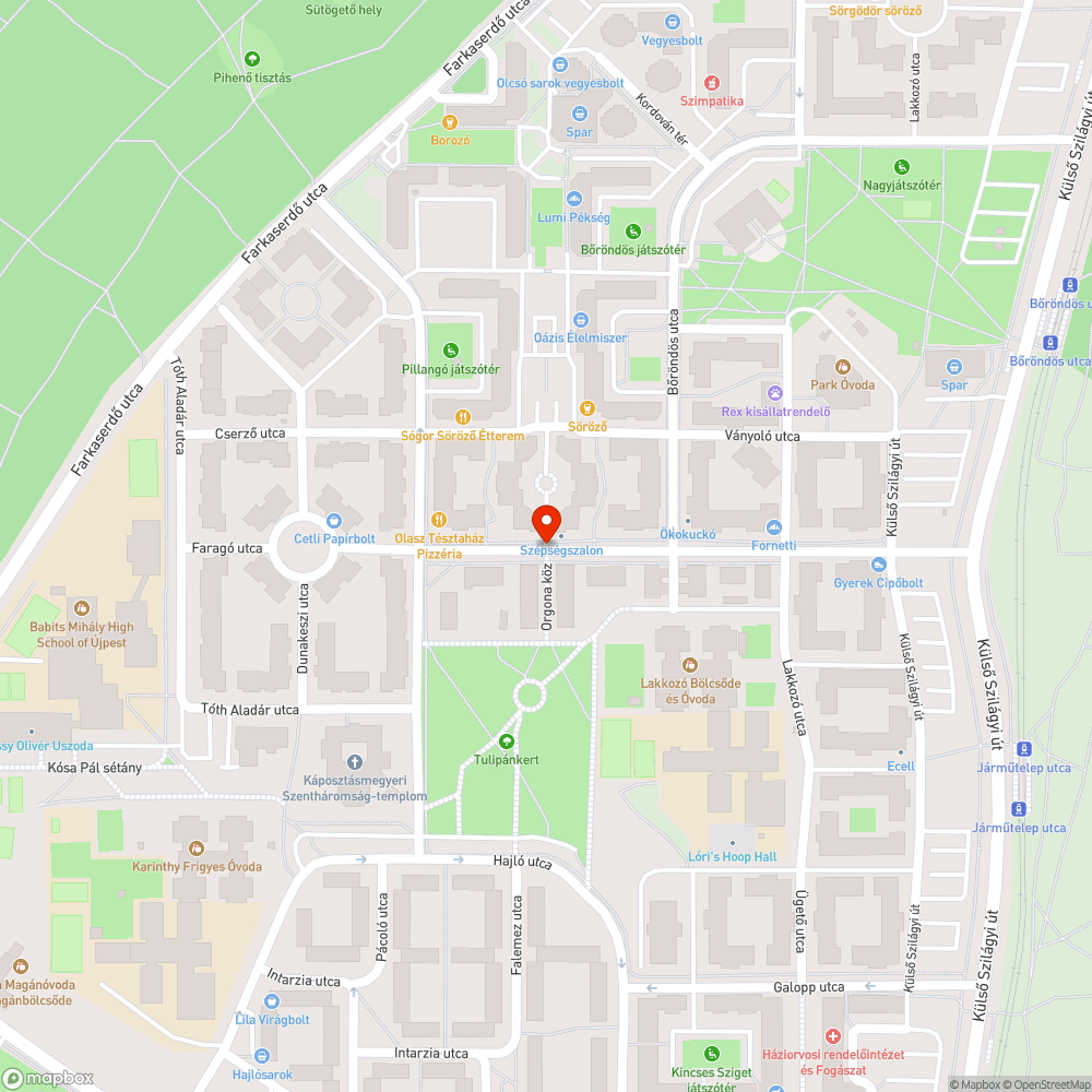 Kátyús gyalogosfeljáró az úttestről bejelentés helye