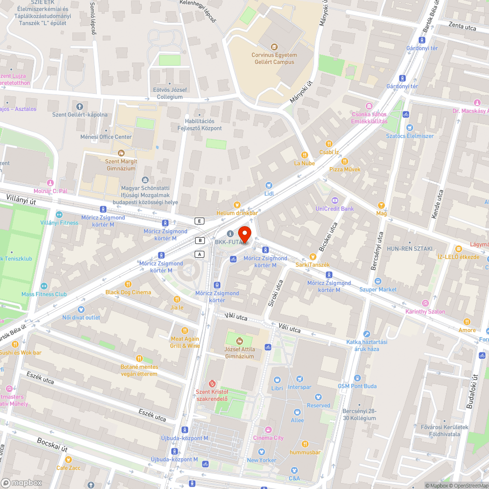 Móricz aluljáró megint koszos bejelentés helye