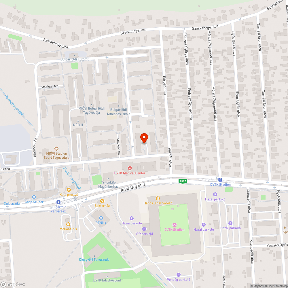 Kiszáradt fa a Stadion utcában. bejelentés helye