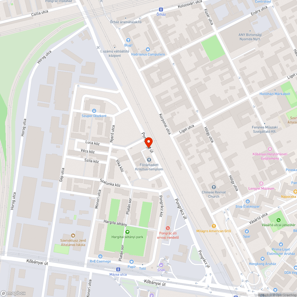 Kivágott fa helyén pocsolya bejelentés helye