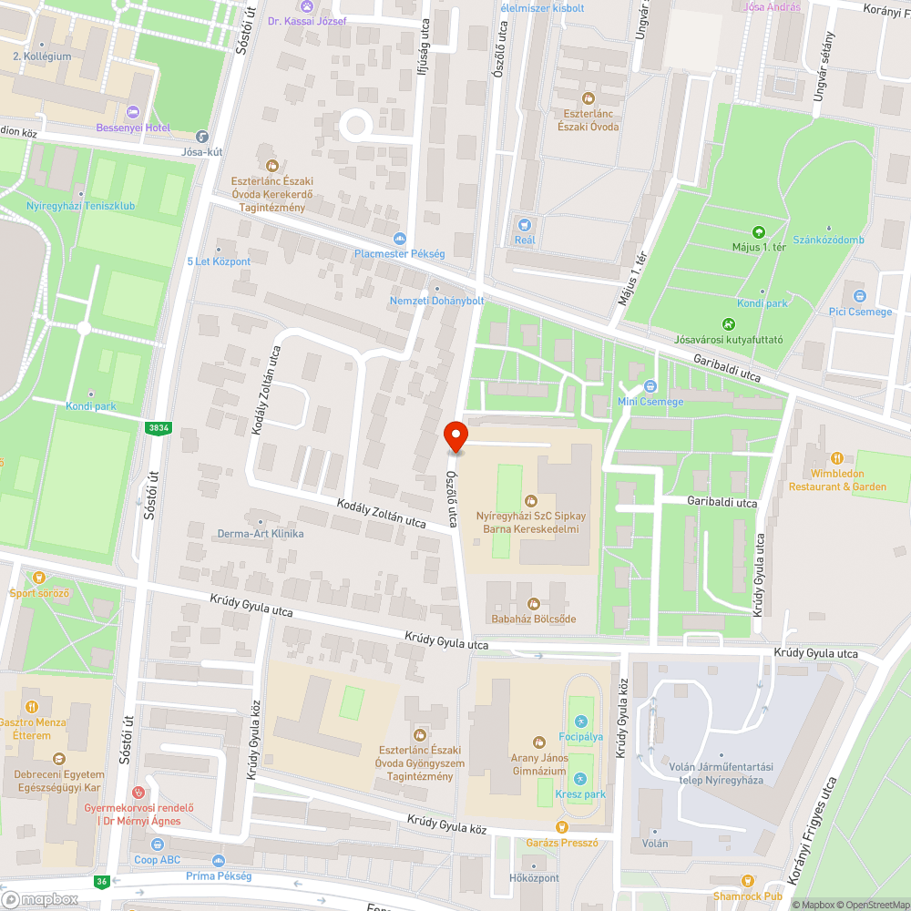 Kátyús járda bejelentés helye