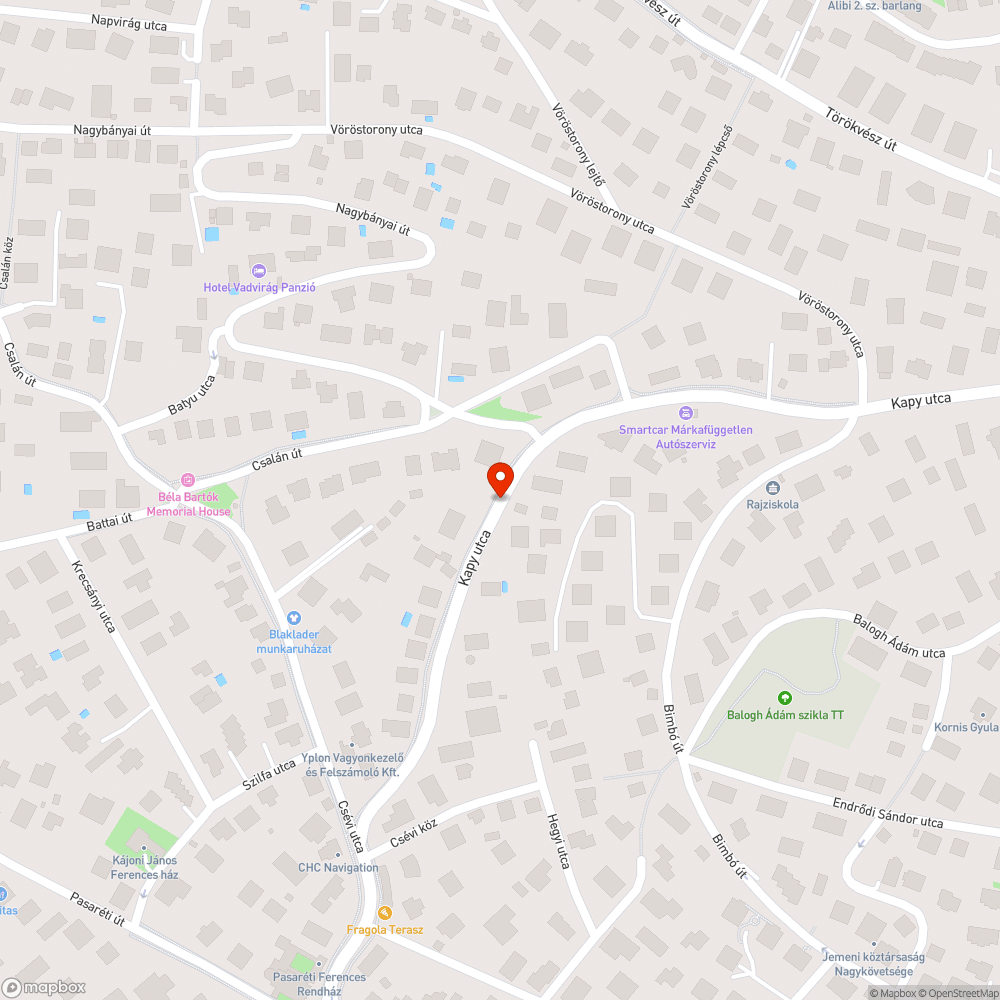 Növényzet takarja a közvilágítási lámpát bejelentés helye