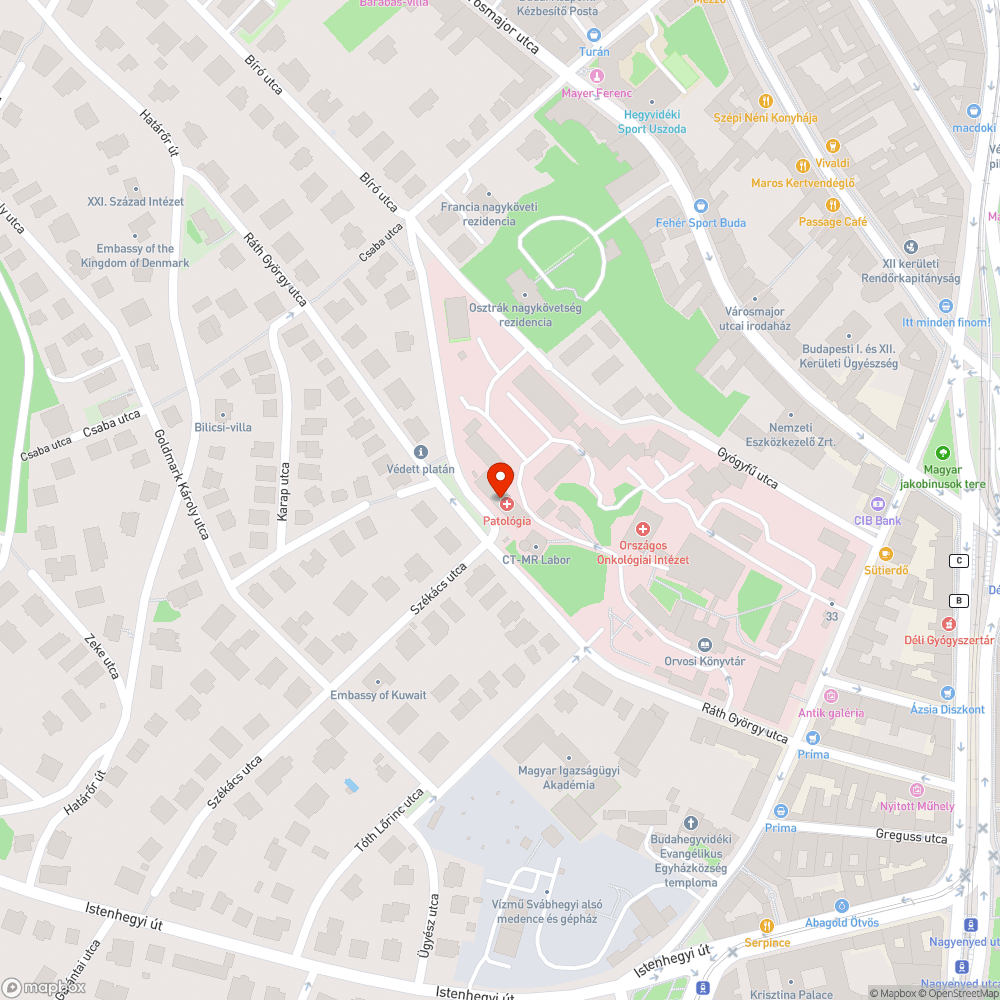 útra ránőtt növényzet bejelentés helye