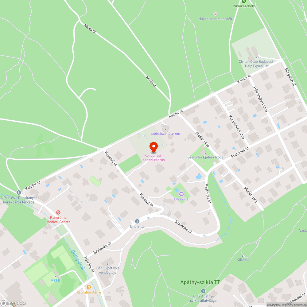 Libanoni cédrus természet védelmi terület, megrongált táblák bejelentés helye