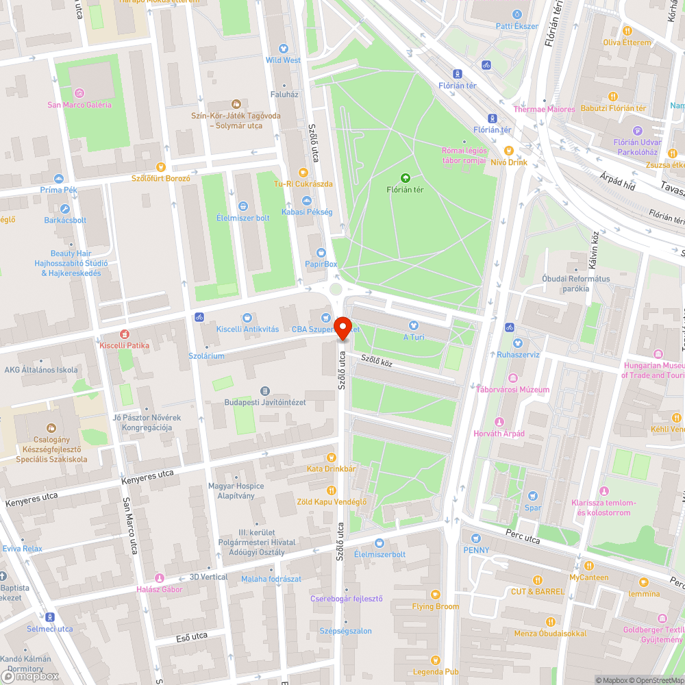 Járdára rálógó faágak a Szőlő utcában II. bejelentés helye