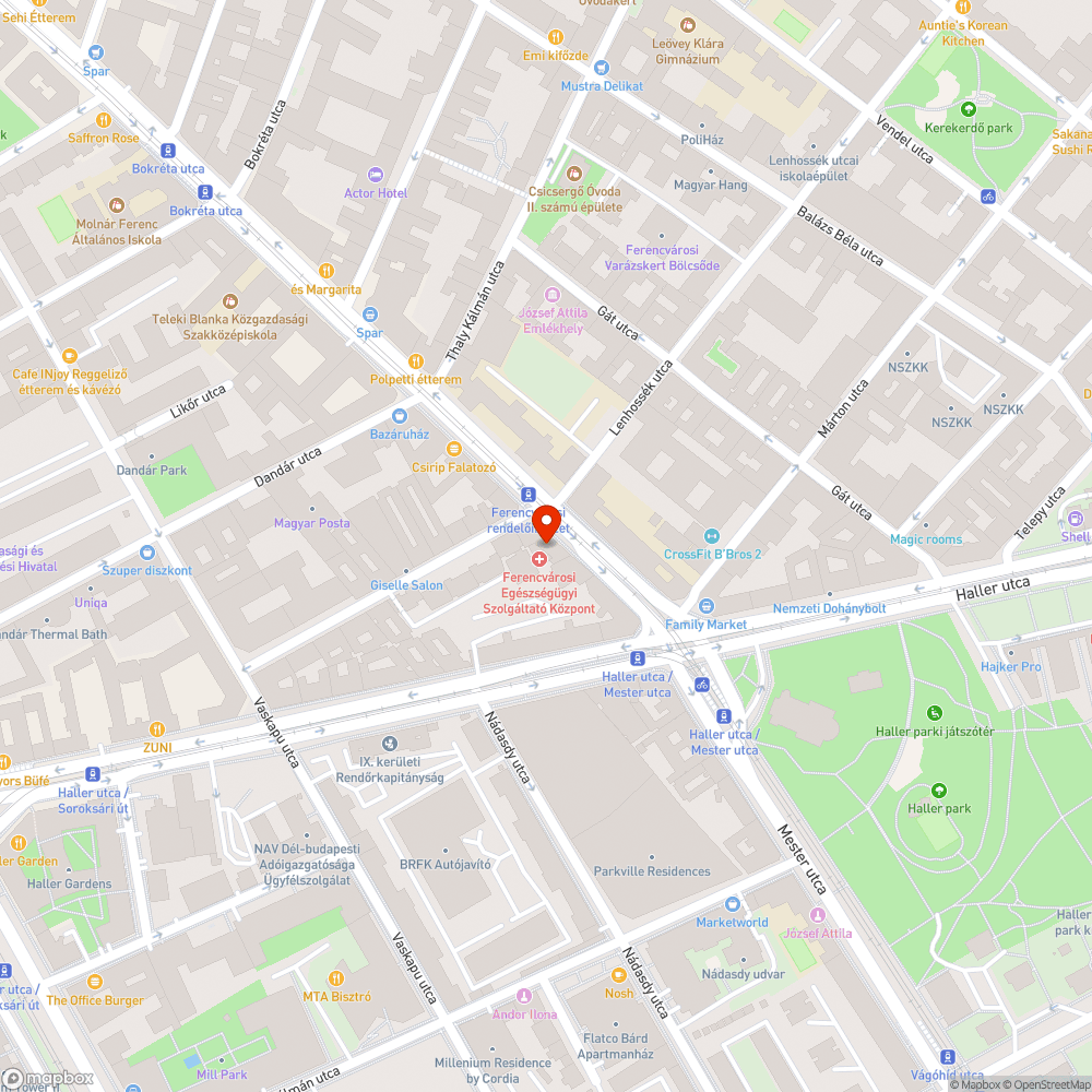 Szemetes a Ferencvárosi szakrendelő melletti parkoló bejelentés helye