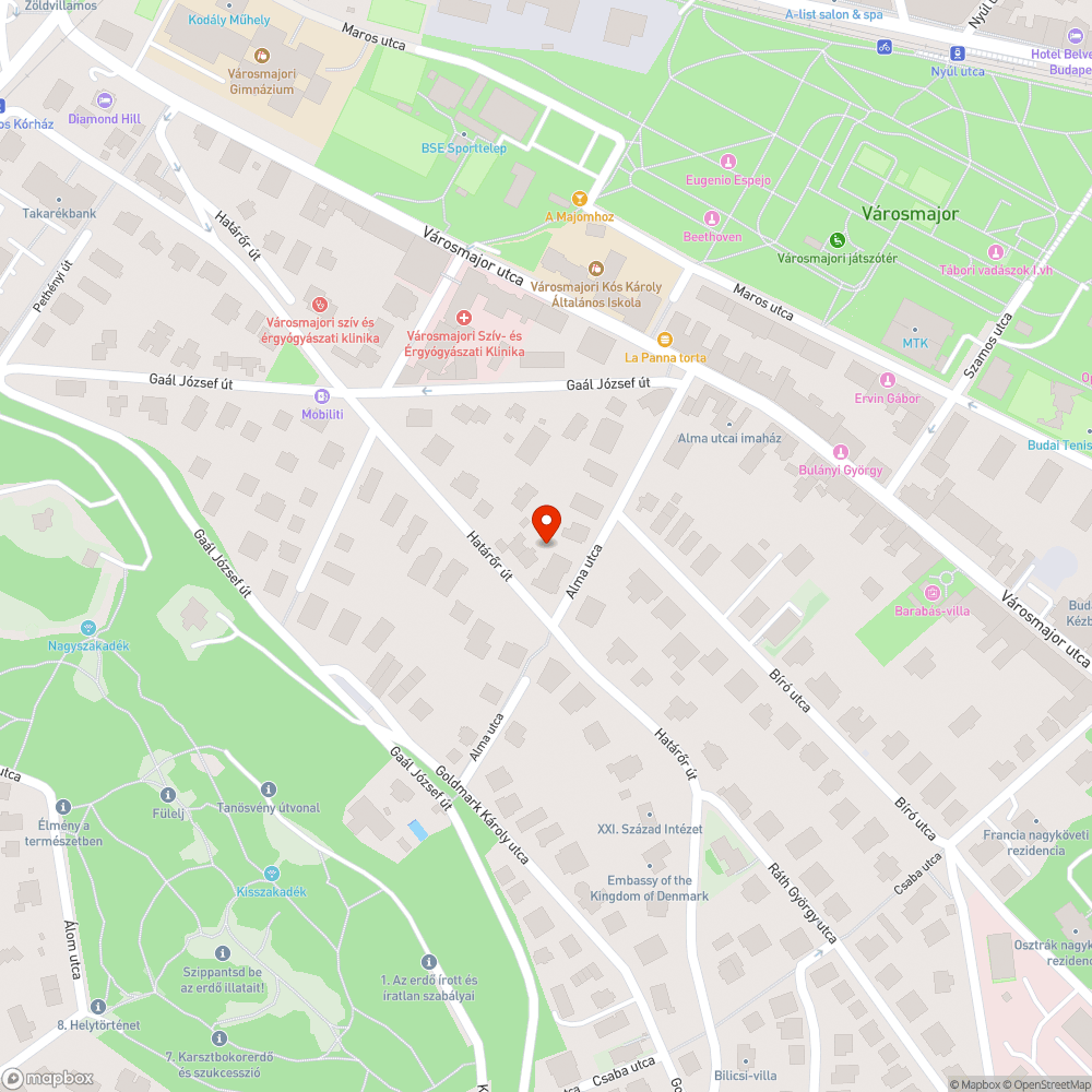 Leszakadt korhadt faág bejelentés helye