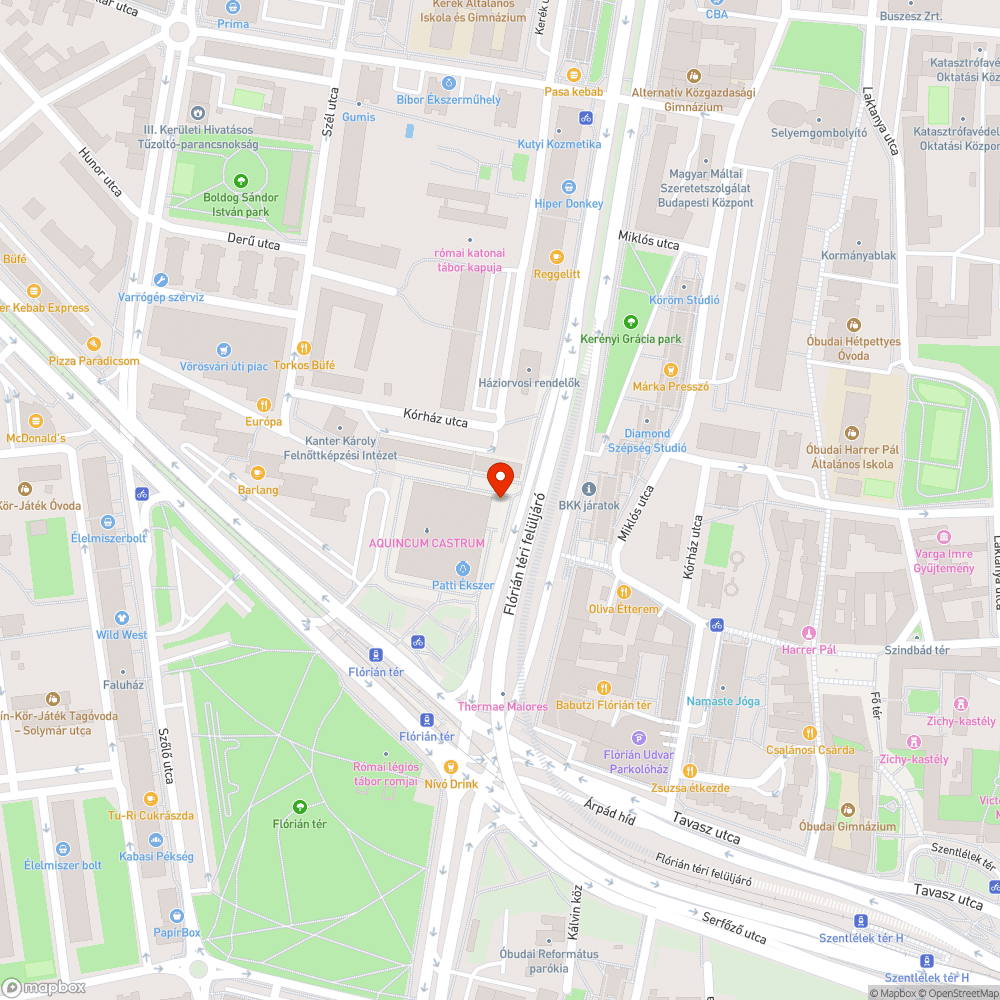 Csótányok a Flórián téri aluljáróban bejelentés helye